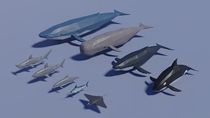Sea Animals Pack