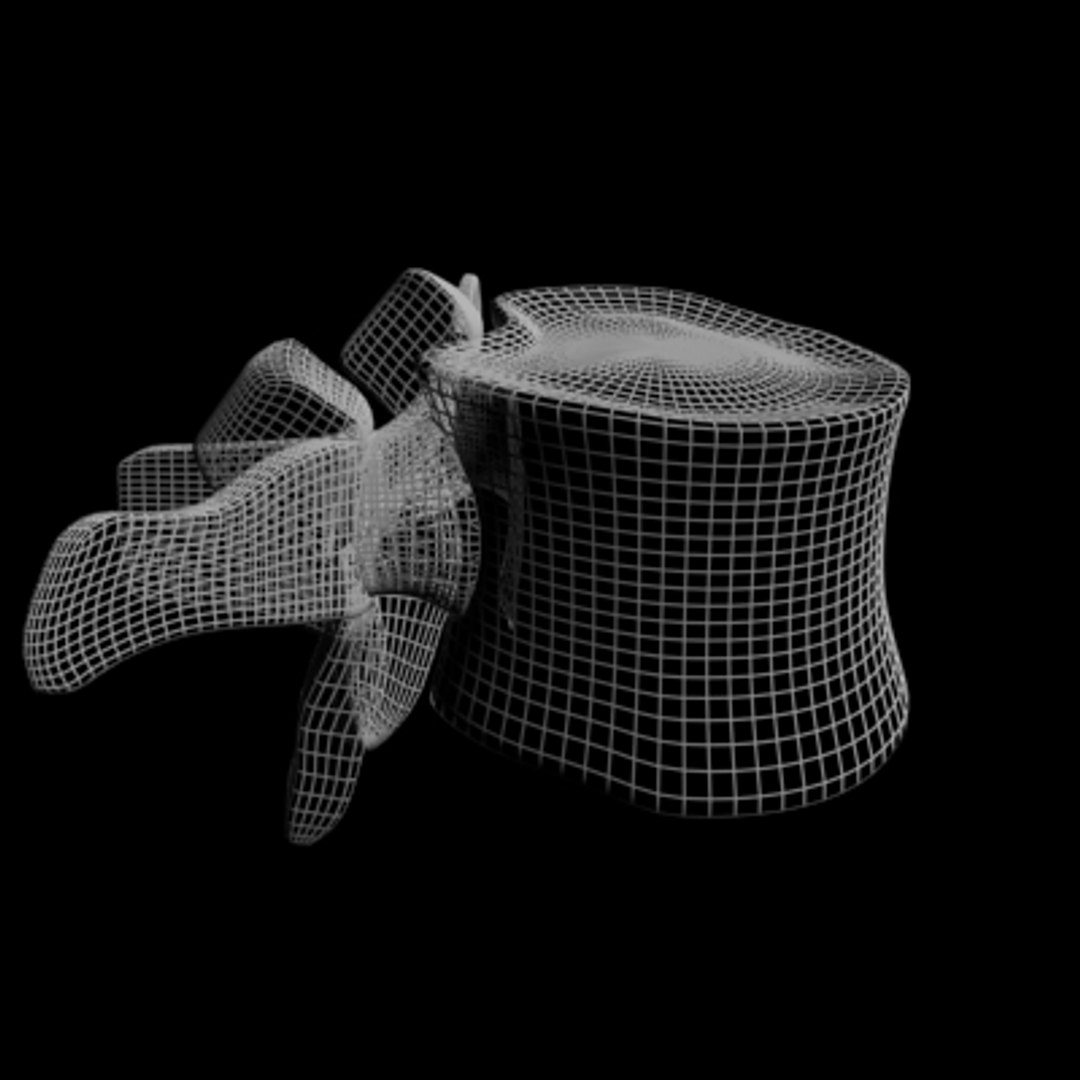 lumber vertabrea human spine max free https://p.turbosquid.com/ts-thumb/mU/M4xaSM/4QSV3rho/vertebrea4/jpg/1140056309/1920x1080/fit_q87/5cc9a2da7a4a1470913aa21e7f4338ec47202842/vertebrea4.jpg