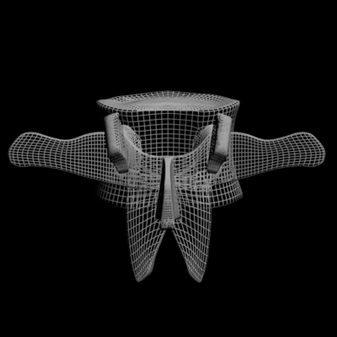 lumber vertabrea human spine max free https://p.turbosquid.com/ts-thumb/mU/M4xaSM/IA4PPxVk/vertebrea2/jpg/1140056277/1920x1080/fit_q87/d8f6f774c15d7ee2eaa29e4630babfd3006fd828/vertebrea2.jpg