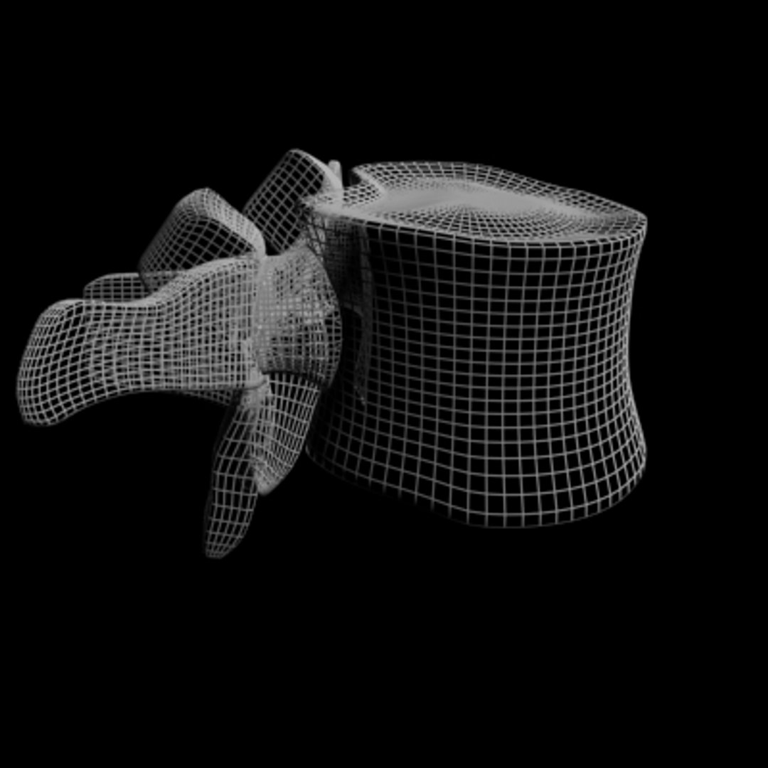 lumber vertabrea human spine max free https://p.turbosquid.com/ts-thumb/mU/M4xaSM/Lj0YRP9x/vertebrea1/jpg/1140056270/1920x1080/fit_q87/e6d7118a3b96eb853a52404fd2328e6340bd5bf7/vertebrea1.jpg