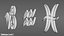十二生肖