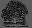 Árbol de manzana