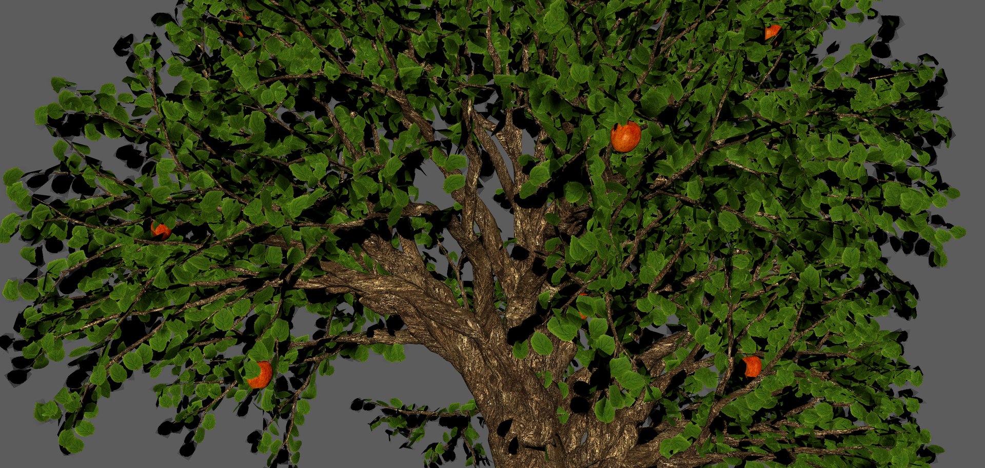 3D tree apple model https://p.turbosquid.com/ts-thumb/mU/PfRRfI/fJBLtpid/tree12/jpg/1543054685/1920x1080/fit_q87/14fcebde5f0b80cab453958d518e57dff3a40ae4/tree12.jpg
