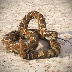 Light Rattlesnake Attack Animated Rigged 3D