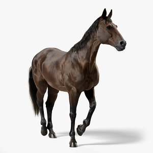 3D model Horse Brown