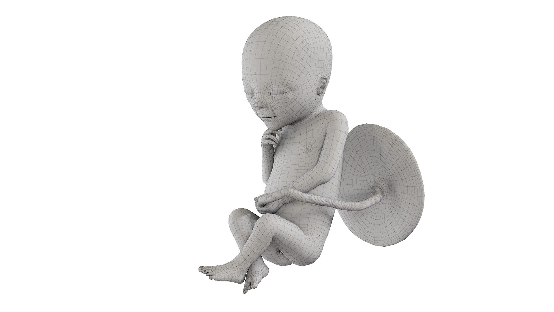 Fetus Anatomy Week 19 Animated 3D model https://p.turbosquid.com/ts-thumb/mU/ZcazjR/mW/fetus_week18f_wire0000/jpg/1636014432/1920x1080/fit_q87/2fd392d4842897b1d575731613c1f76c57f6fd7b/fetus_week18f_wire0000.jpg
