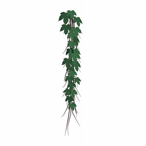 ivy plants model