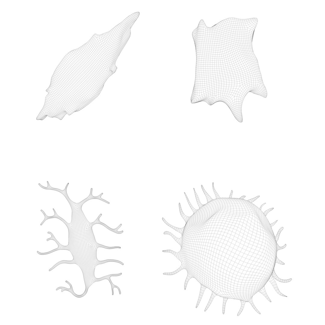 Bone Cell Osteo Cell Anatomy Pack 3D Model TurboSquid 2082173