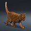 3d model cat orange tabby fur