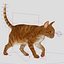 3d model cat orange tabby fur
