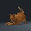 3d model cat orange tabby fur