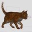 3d model cat orange tabby fur