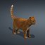 3d model cat orange tabby fur