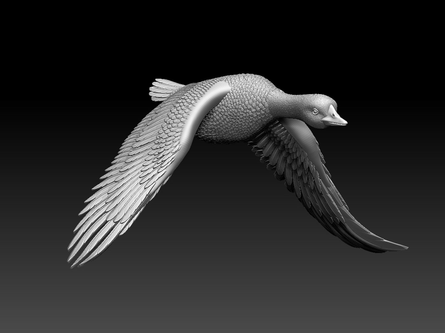 Duck Goose Bird 3D - TurboSquid 1655249