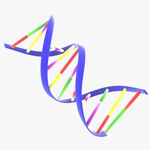 DNA Ribbon