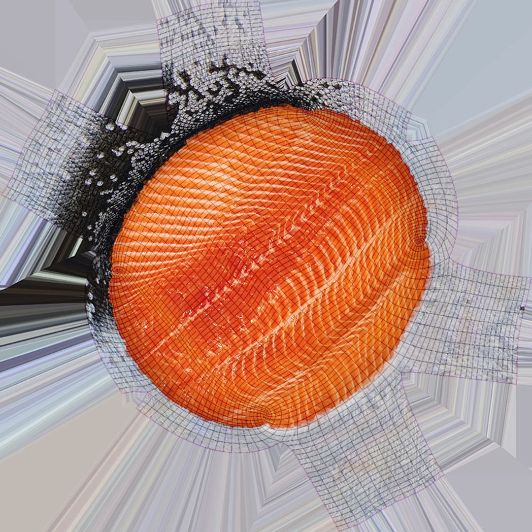 3D Salmon Fillet 02 https://p.turbosquid.com/ts-thumb/mU/s14aog/Nx/salmonfilletv2_d0004/jpg/1727198927/1920x1080/fit_q87/bca1a1dfacc1a36d39a55e702654ddfe943694ab/salmonfilletv2_d0004.jpg