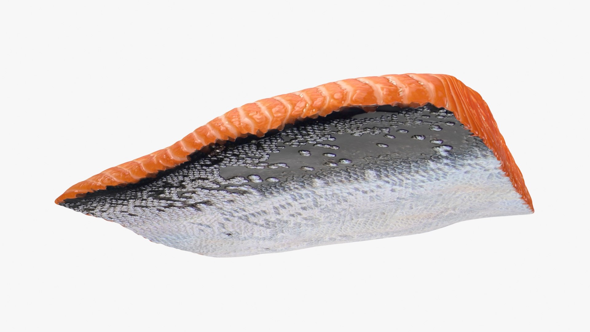 3D Salmon Fillet 02 https://p.turbosquid.com/ts-thumb/mU/s14aog/OM/salmonfilletv2_b0024/jpg/1727198926/1920x1080/fit_q87/0594810cdfb3a5e2d62596b2bb543776007be6d3/salmonfilletv2_b0024.jpg