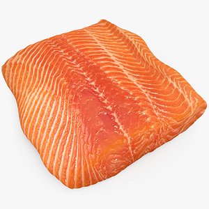 3D Salmon Fillet 02