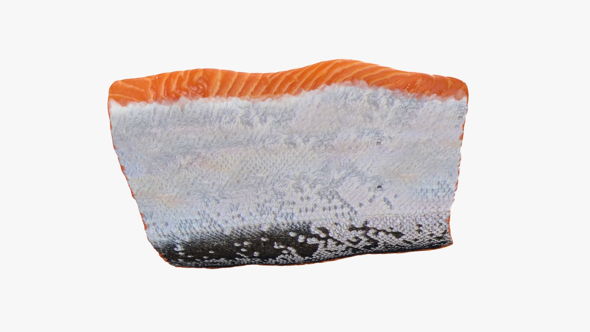 3D Salmon Fillet 02 https://p.turbosquid.com/ts-thumb/mU/s14aog/z6/salmonfilletv2_b0020/jpg/1727198924/1920x1080/fit_q87/d460c6444c70aed0570ad86bf63ed8b5a74b8188/salmonfilletv2_b0020.jpg