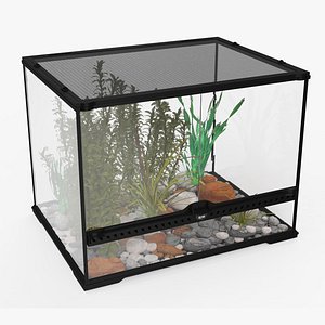 Medium Size Plants Terrarium