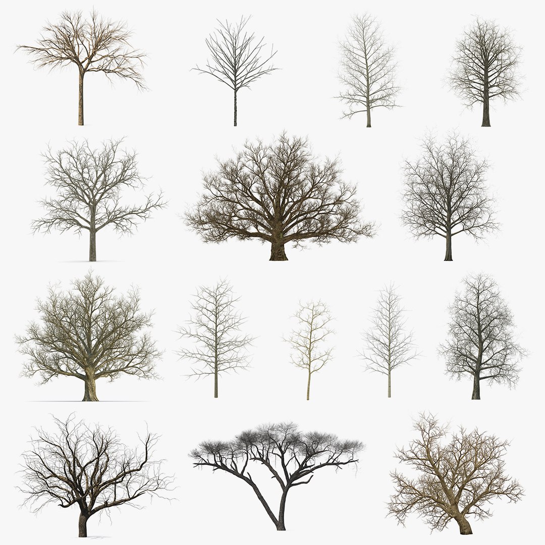 Winter Trees Collection 5 3D model preview