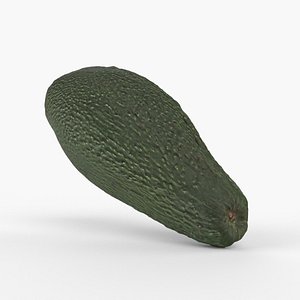 3D Photorealistic 3D Scanned Avocado