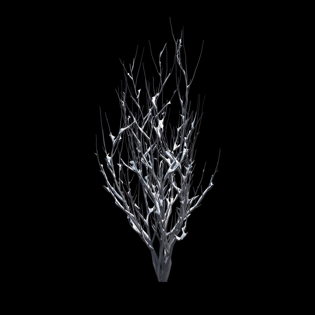 3D Model Winter Bush 03 Snow - TurboSquid 1239251