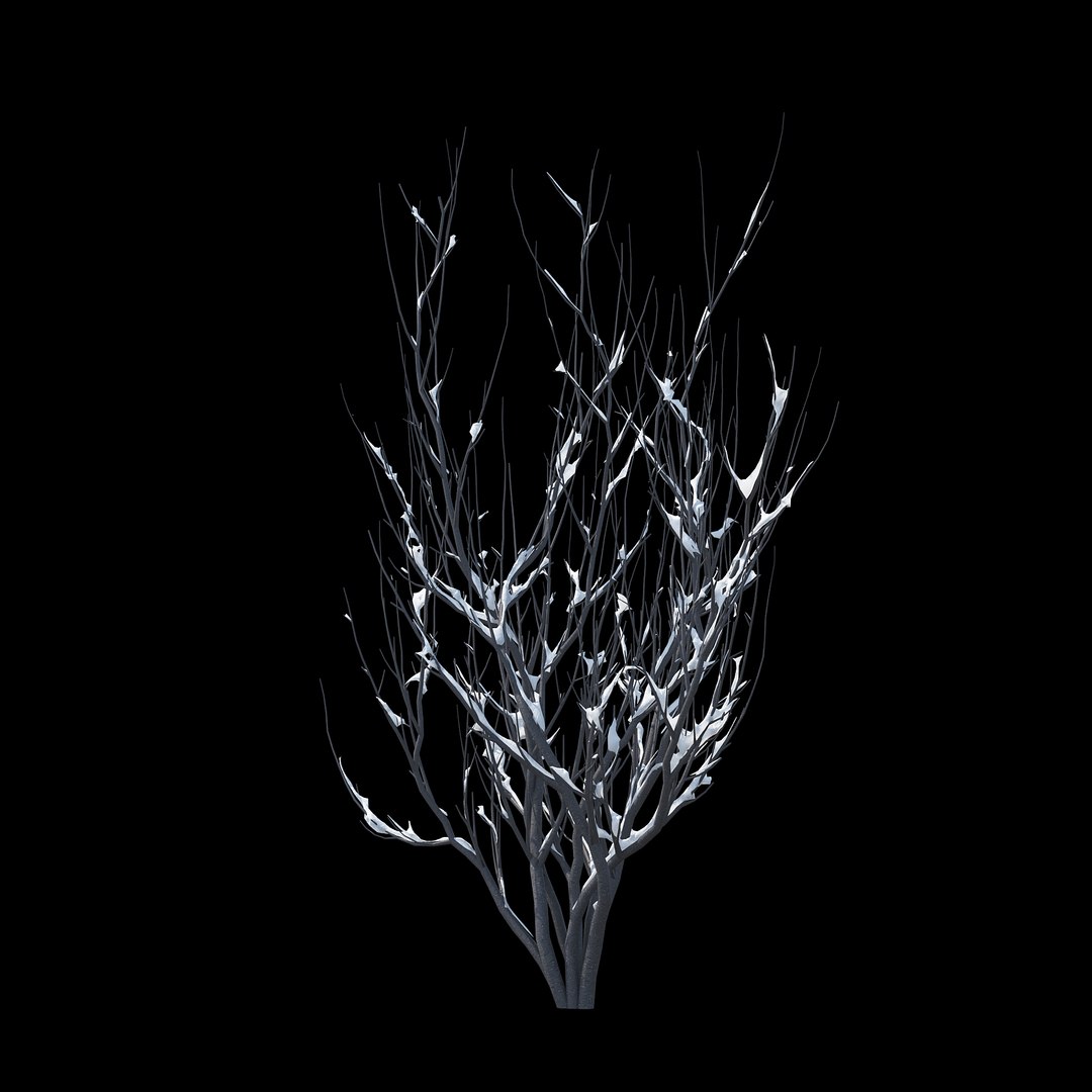 3D Model Winter Bush 03 Snow - TurboSquid 1239251