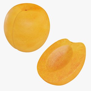 3D model Apricot collection 2