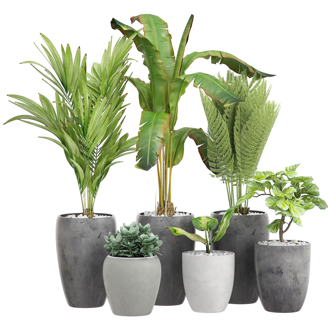 flower pack 120 3D model https://p.turbosquid.com/ts-thumb/mV/JZzxGe/hYG7ixa8/flowerpack120/jpg/1602241323/1920x1080/fit_q87/80ceebe2ed4eac9c319704cb04f055fc52f5f69d/flowerpack120.jpg