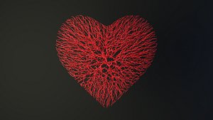 heart shape wire 3D