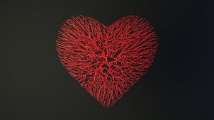 Heart shape made out of wires