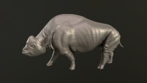 Elasmotherium 3D model