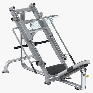 45 Leg Press