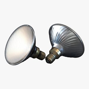 Halogen Flood Light Bulb