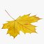 3D autumn leaf
