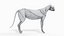 Full Cat Anatomy Static