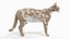 Full Cat Anatomy Static