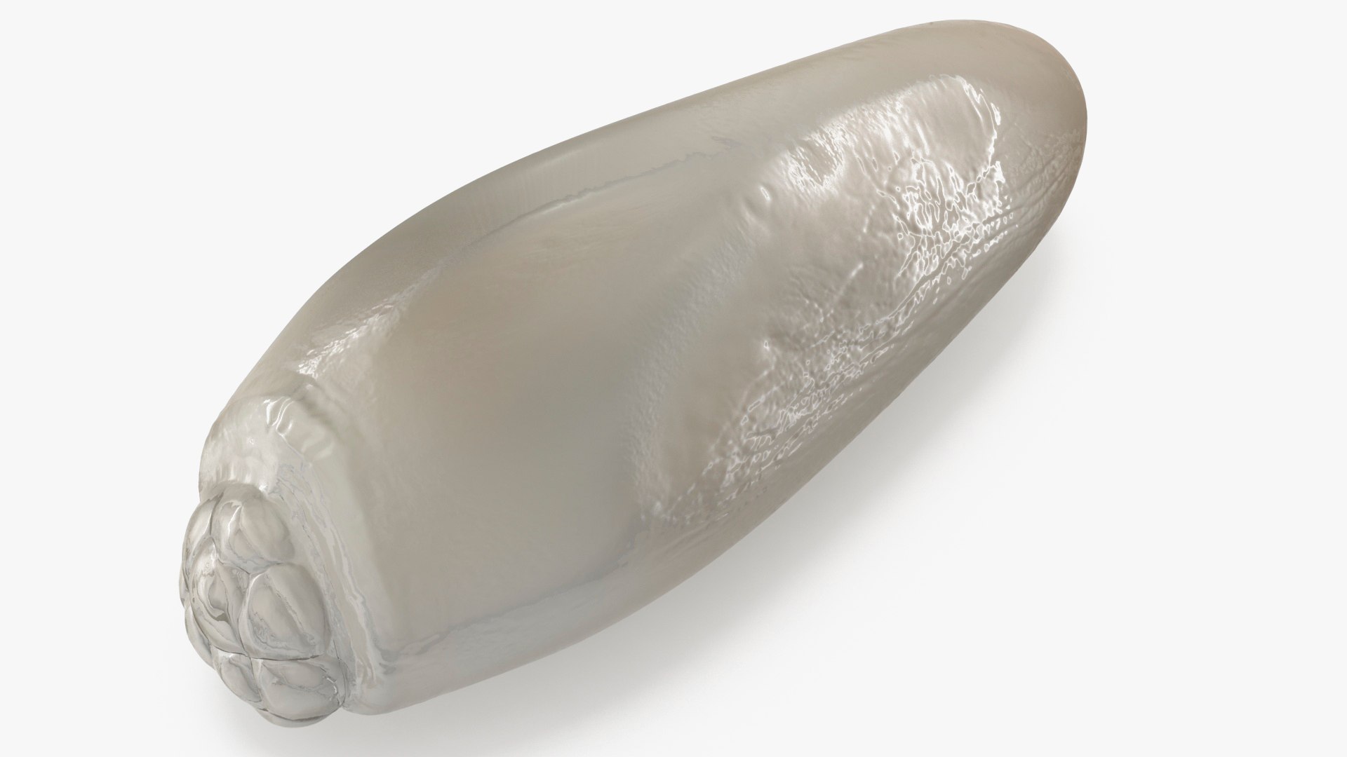 Human Head Louse Egg 3D model preview