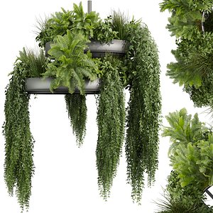 3D Collection plant vol 642 - Hanging - Ampelous - Fern - bush - Ivy