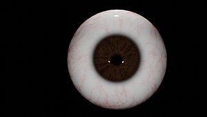 Reealistic eye    high PolyLow poly
