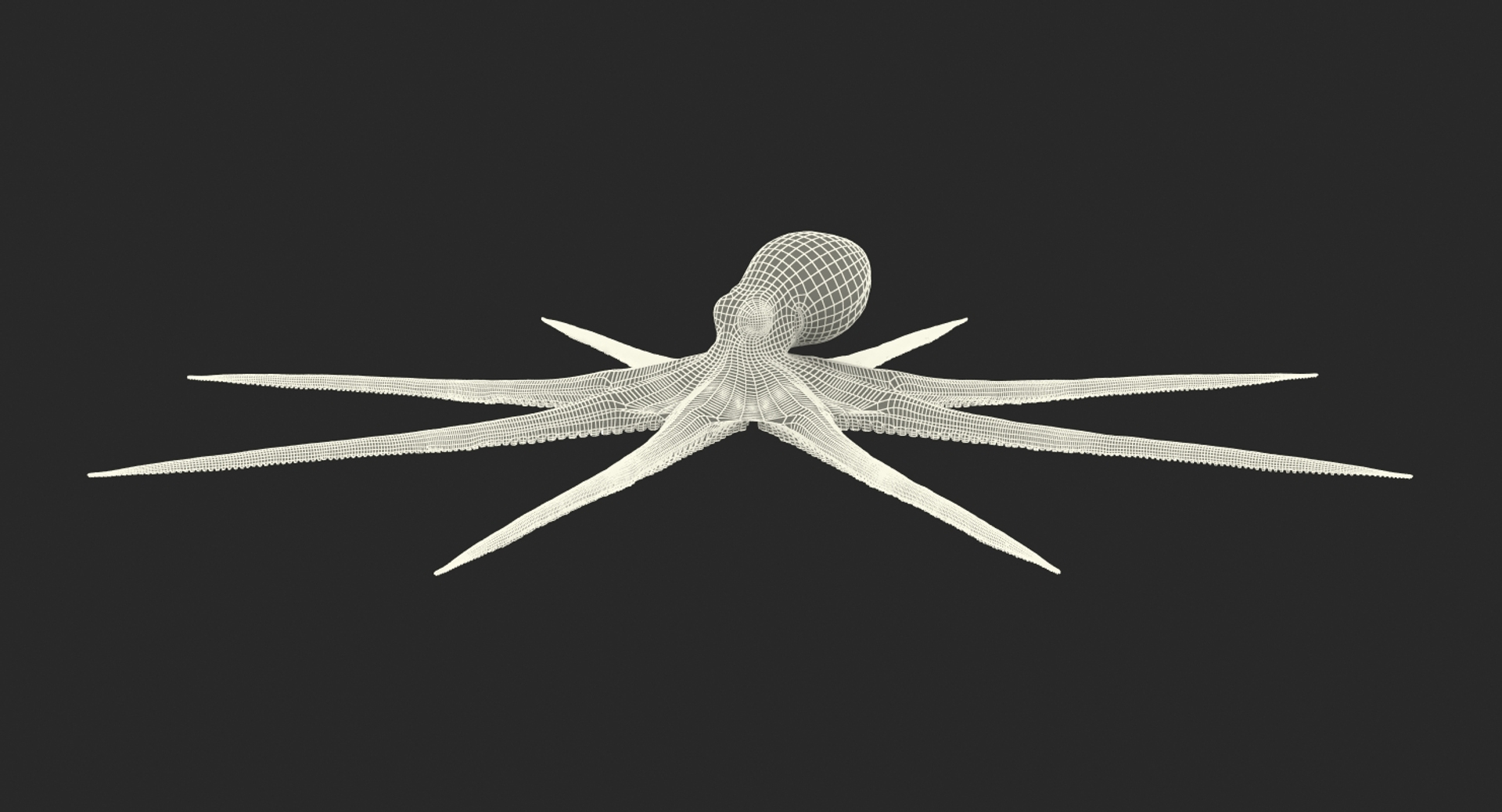 Blue Octopus 3D Model - TurboSquid 1151679