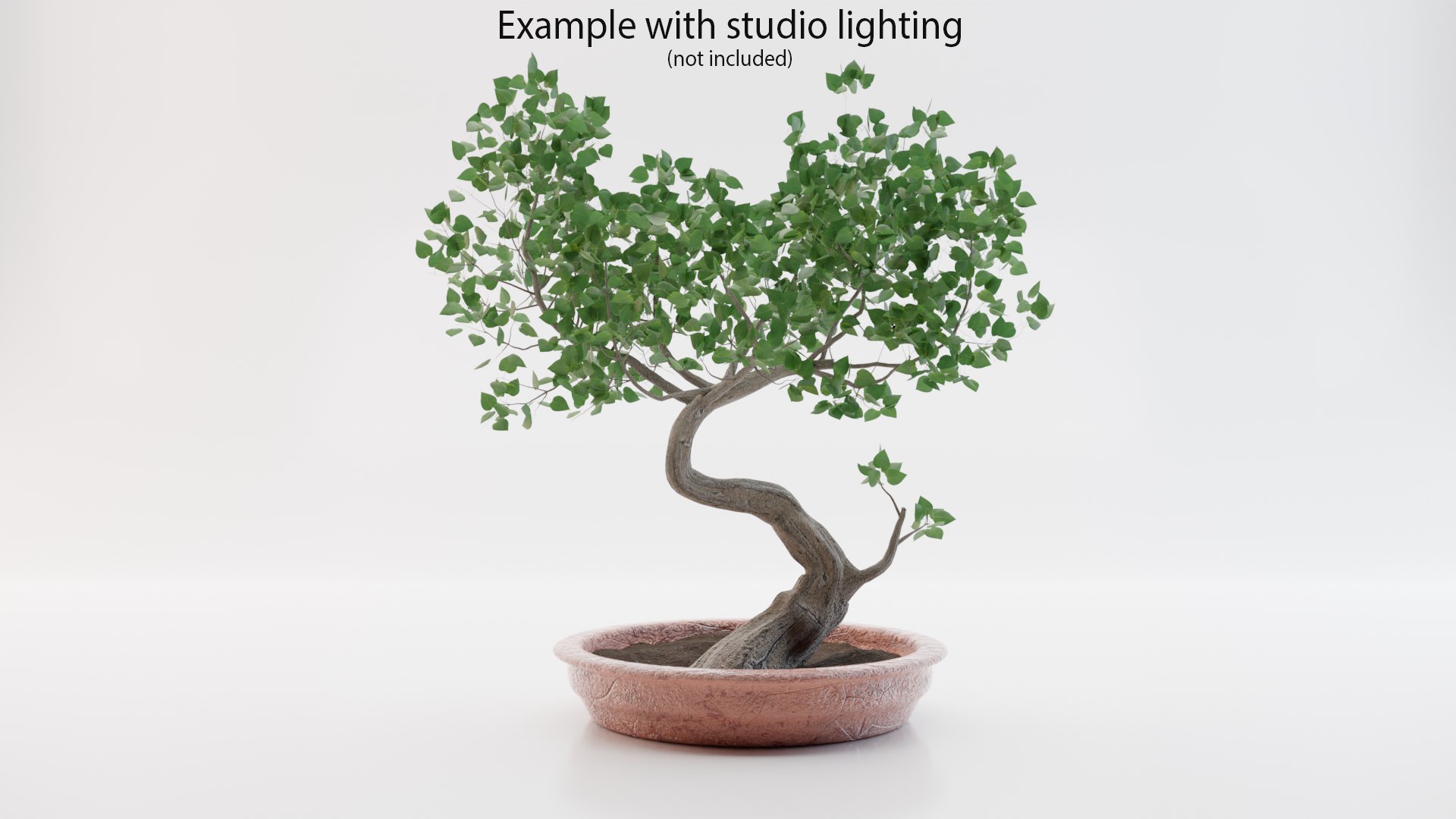 3D Bonsai tree https://p.turbosquid.com/ts-thumb/mW/KSbwGH/g4/bonsai_scene_5_descripted/png/1630747407/1920x1080/fit_q87/4659777eebdabde3e787c43a116128fad6b58bf1/bonsai_scene_5_descripted.jpg