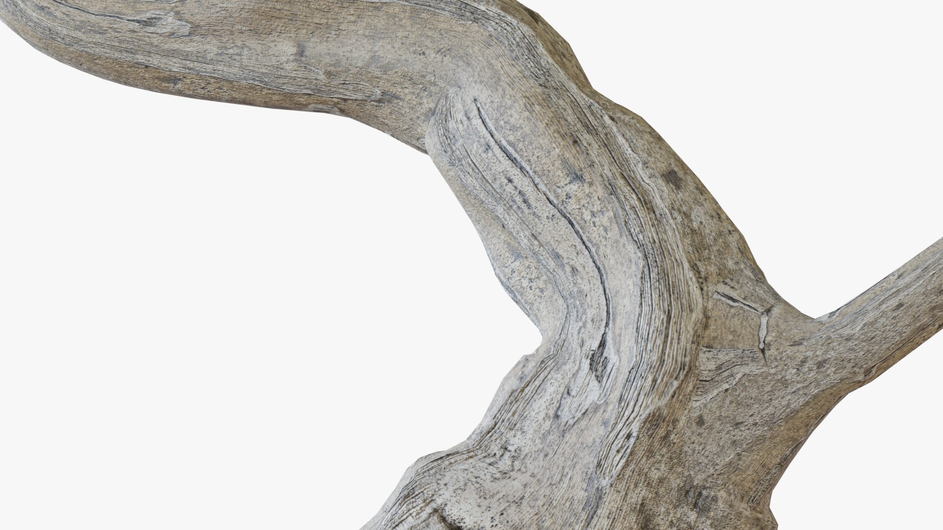 3D Bonsai tree https://p.turbosquid.com/ts-thumb/mW/KSbwGH/jL/bonsai_12/png/1630746846/1920x1080/fit_q87/ffff8b8784cf074bbc7d6569478187c7a71e964e/bonsai_12.jpg