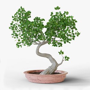 3D Bonsai tree