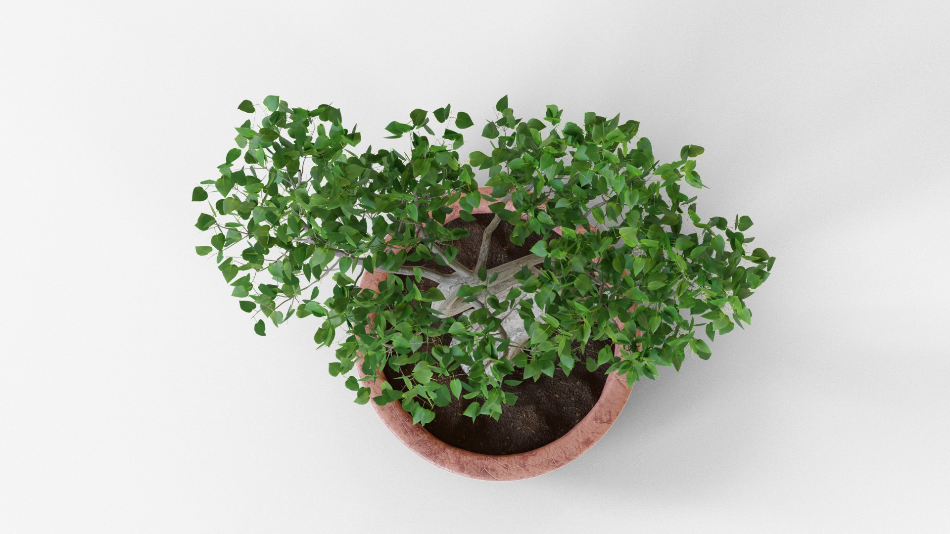 3D Bonsai tree https://p.turbosquid.com/ts-thumb/mW/KSbwGH/rY/bonsai_10/png/1630746846/1920x1080/fit_q87/34b7af42fbabc860925e8d9181d941ca52cf4156/bonsai_10.jpg