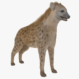 hyena fur rigged