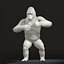 gorilla
