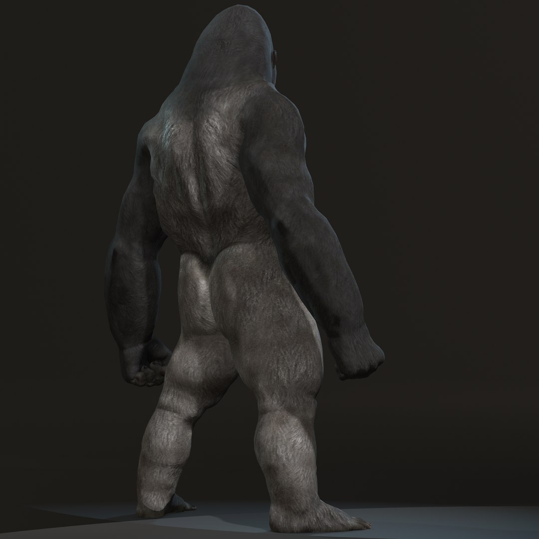 gorilla 3D model https://p.turbosquid.com/ts-thumb/mW/VeBL6v/Bg/gorilla5/jpg/1654664699/1920x1080/fit_q87/b8b04bdb31aa10e5a2ee6fbbcc3bdbcab6f4e566/gorilla5.jpg