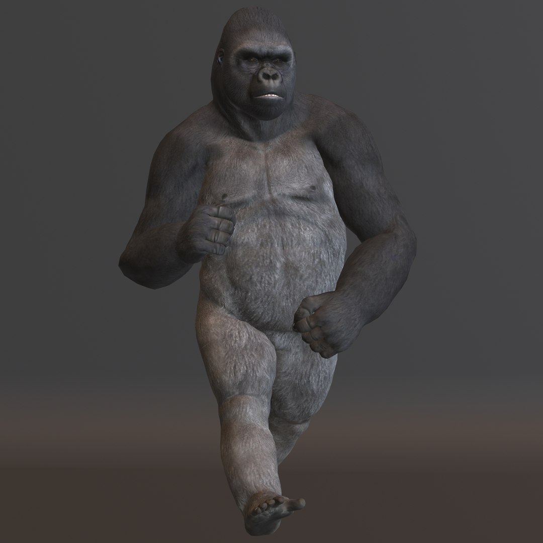 gorilla 3D model https://p.turbosquid.com/ts-thumb/mW/VeBL6v/Gx/gorilla3/jpg/1654664846/1920x1080/fit_q87/e40c1218f3fb4aa2d1ade6d27a0f1a4a5bcaa1ad/gorilla3.jpg